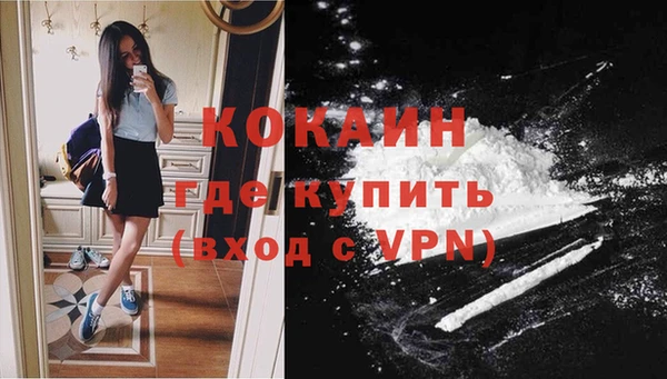 дмт Аркадак