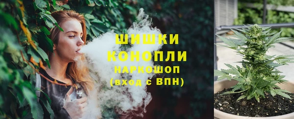 прущие грибы Арсеньев