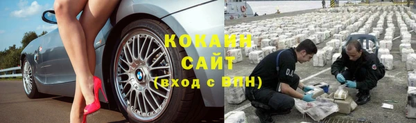 дмт Аркадак